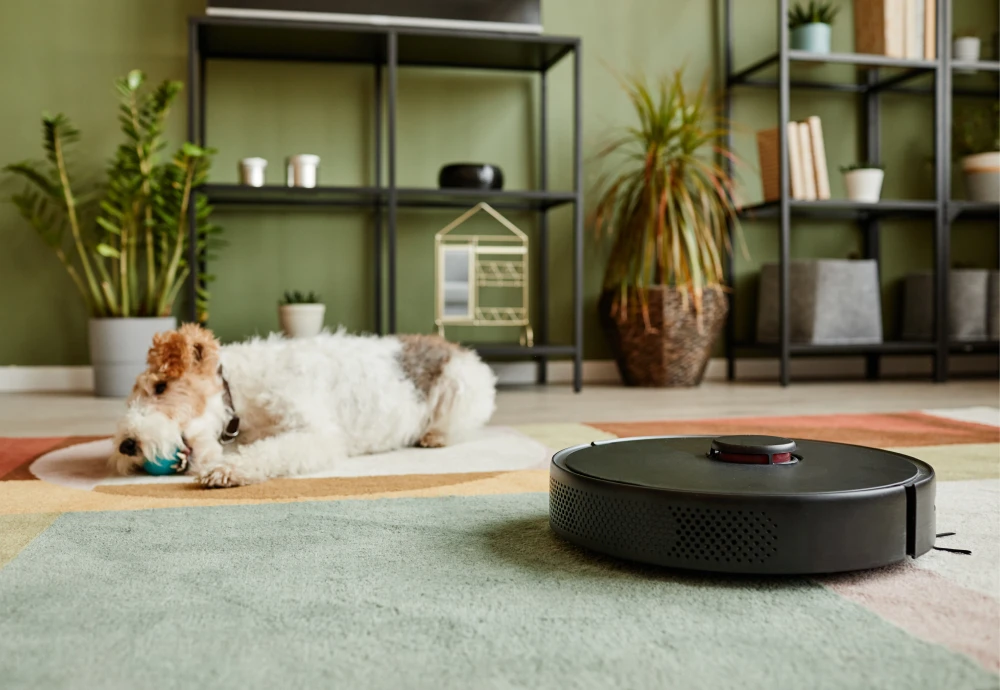 best vacuum cleaning robot