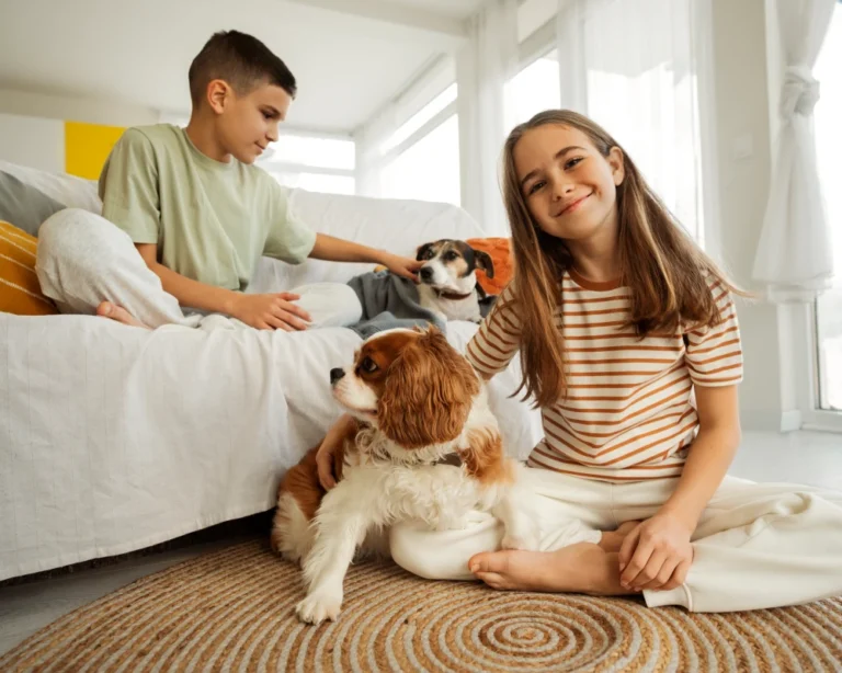 automatic dog food feeder